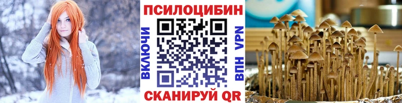 Галлюциногенные грибы Psilocybine cubensis  Купить где  Чебоксары 
