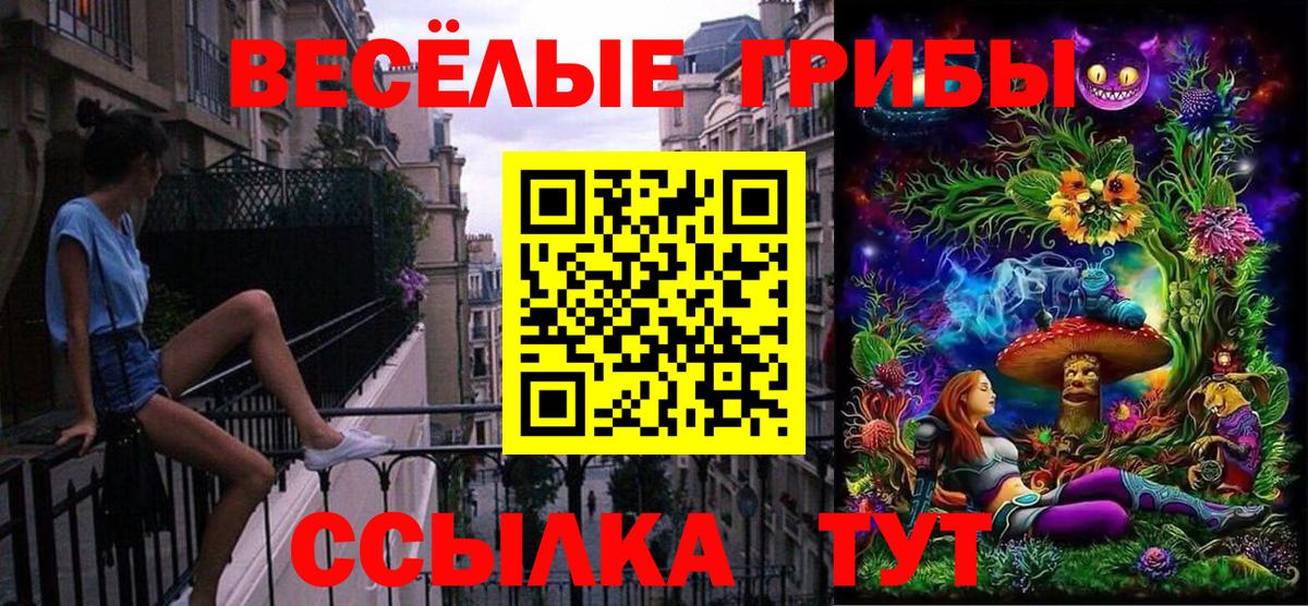 Чебоксары  наркота  Вход с VPN  Галлюциногенные грибы мицелий 