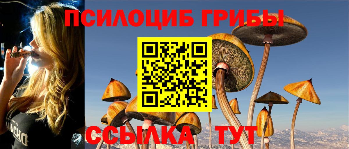 Псилоцибиновые грибы GOLDEN TEACHER  Чебоксары  Галлюциногенные грибы Cubensis 