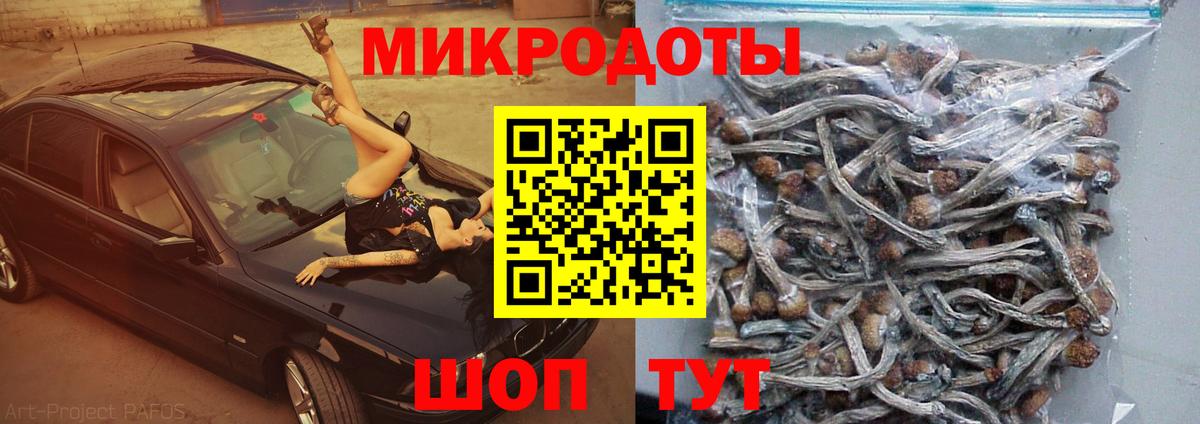 Галлюциногенные грибы Magic Shrooms Чебоксары