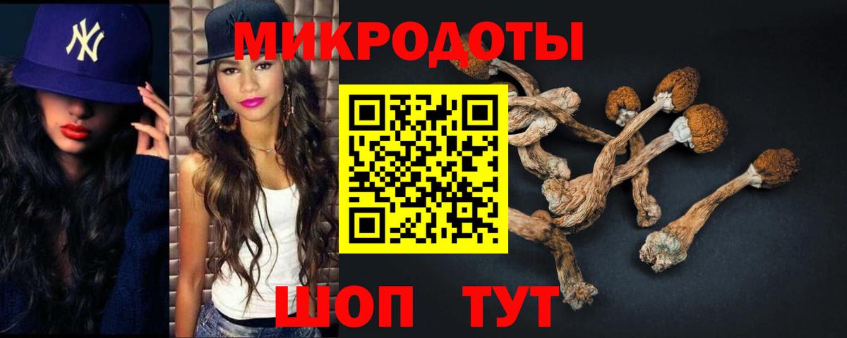 Псилоцибиновые грибы ЛСД Чебоксары